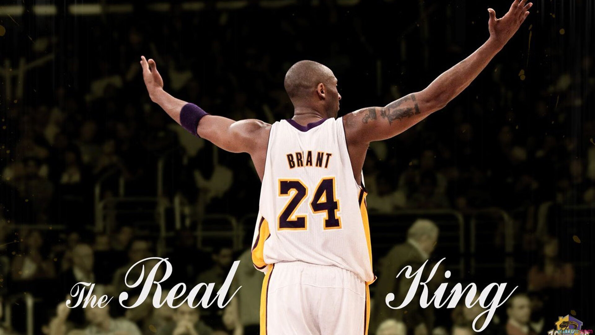 纳达尔新冠检测阳性